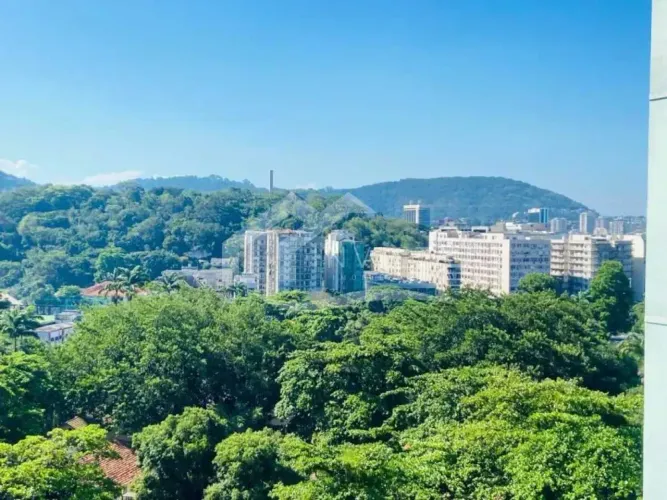Apartamento : Padrão / Residencial / Botafogo