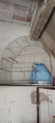 Gaiolas 