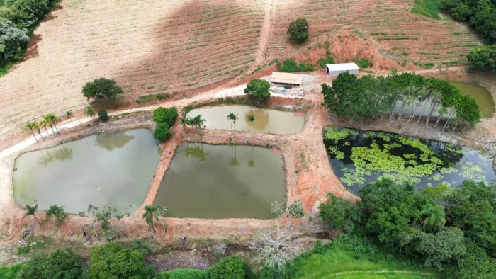 Sítio para Venda em Monte Alegre do Sul, zona rural, 1 dormitório, 1 banheiro