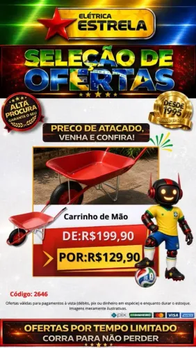 Carrinho de Mão por apenas R$ 100,00!