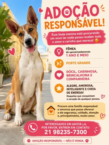 Doação responsável 
