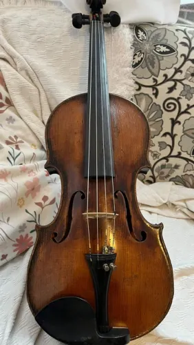 Viola erudita/de arco