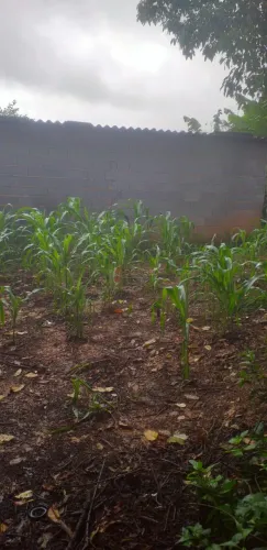 TERRENO PARA VENDA NO BAIRRO SANTA GERTRUDES - JUNDIAÍ/SP
