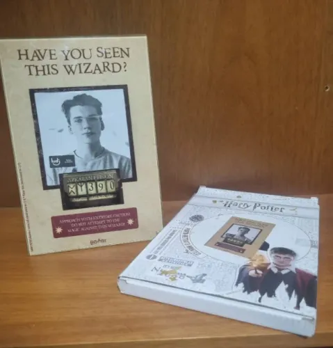 Porta retrato Harry Potter 