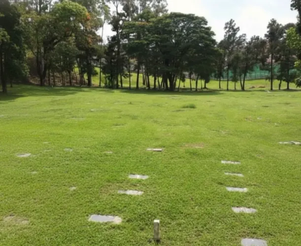 Jazigo Parque da Colina 4 Gavetas Ótimo Preço