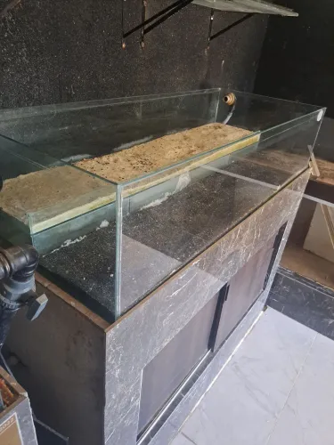Aquario jumbo
