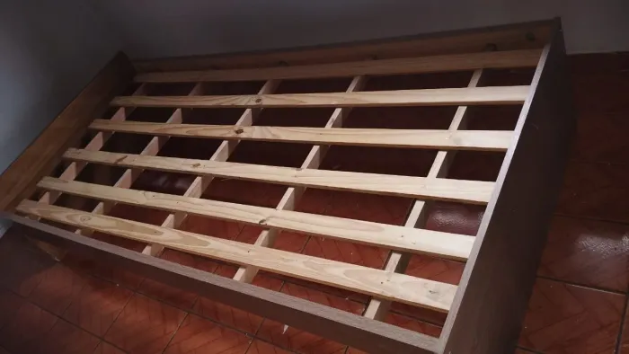 CAma solteiro
