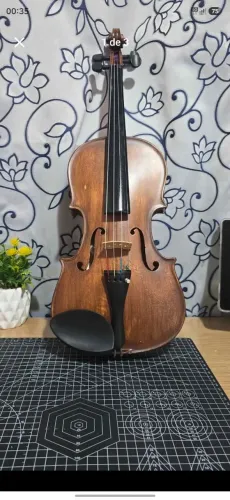 Violino CSR 4/4 Completo Ajustado + Estojo Rígido - Excelente Estado