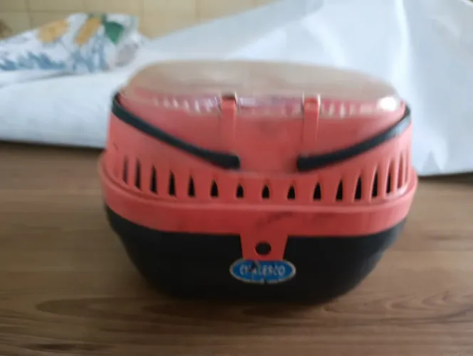 Caixa de transporte para aves