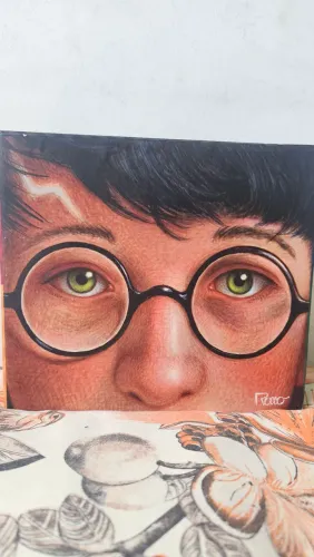 Boxe Harry Potter Coleção 20 Anos
