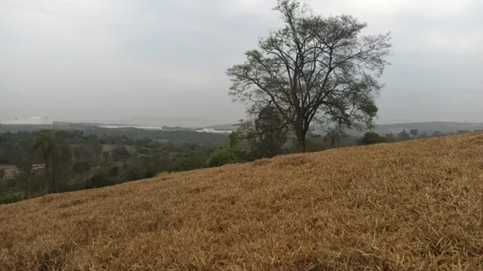 Vianópolis - Chácaras financiadas a partir de R$160.000,00