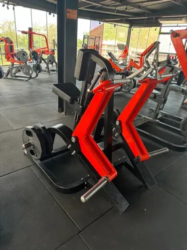 Remada articulada importada ( Technogym pure )