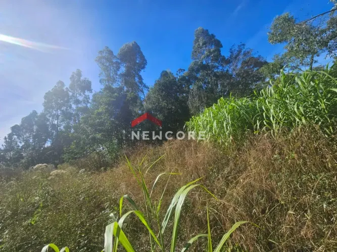 Chácara em Santa Lúcia do Piaí (caxias do Sul) - Centro - Caxias do Sul/RS