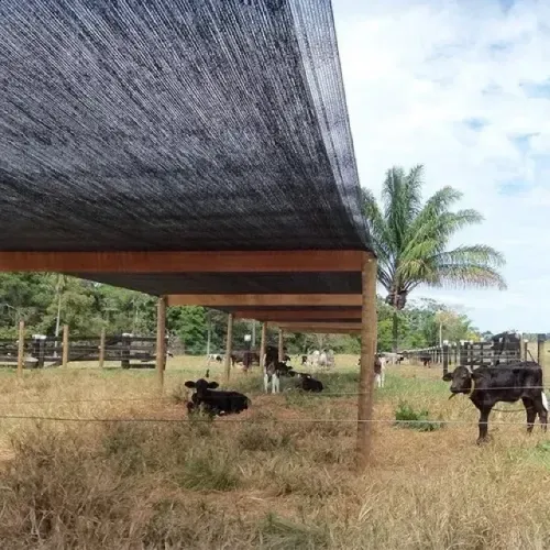  Tela 1,50 X 10M Sombreamento Sombrite 50% Horta Garagem Proteção Cobertura Pergolado 
