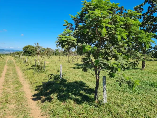 FAZENDA COMPLETA 2000ha CAIAPÔNIA / JATAÍ GO