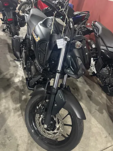 Fz 15 2024  