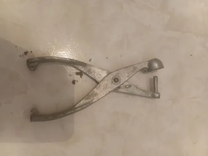 Descaroçador de azeitonas profissional