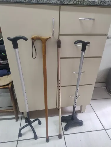 Bengalas adulto diversas