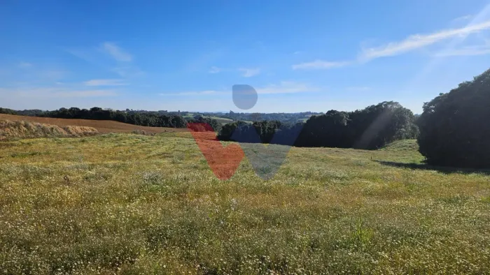 Área Rural de 7 Alqueires, 169.400m com Rio e Córrego Próxima a Curitiba