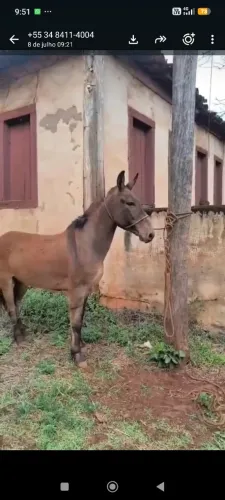 Vendo ou troco