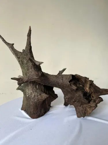 Tronco para aquário