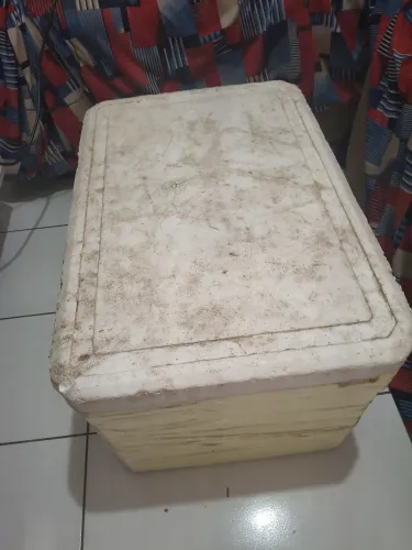 Caixa de isopor térmica usei 2 vezes e estáva guardado