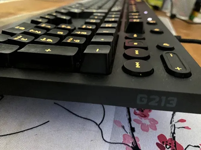Logitech G213- Teclado Gamer RGB - Funcionando Perfeitamente