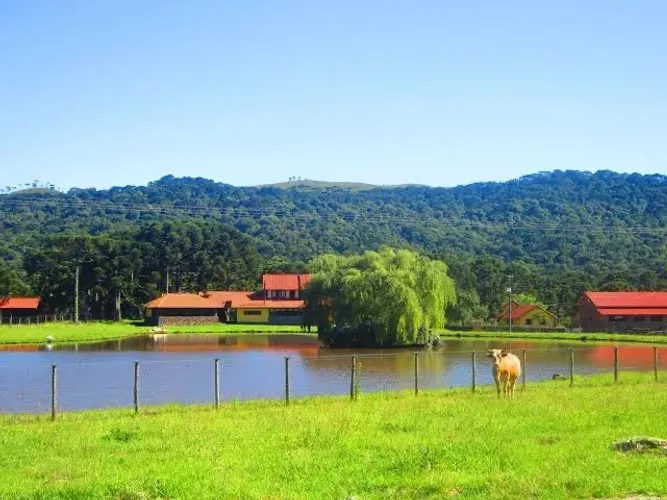 FAZENDA 140 HECTARES.