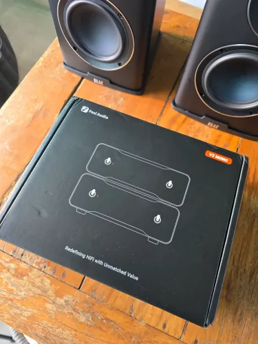 Par de amplificador Fosi Mono V3 kit completo