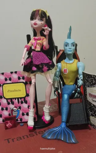 Monster High lote finnegan,Draculaura +itens
