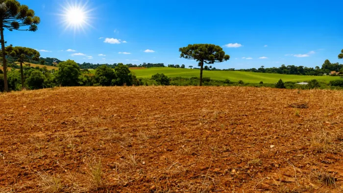Araucária, 300m do asfalto, 5 alqueires, 12,35 hectares, barracão, própria pra plantio, ar