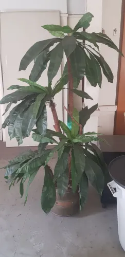 Planta artificial