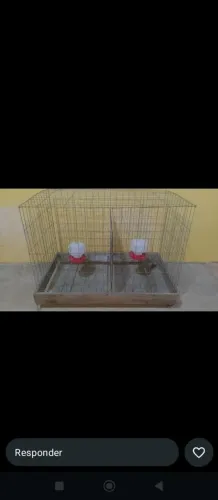 Pinteiro para aves (suspenso do chão e móvel (rodinhas)