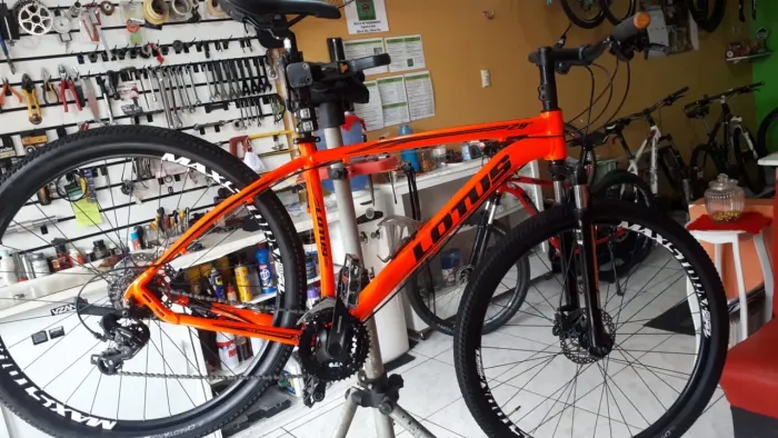 Bike MTB Aro 29