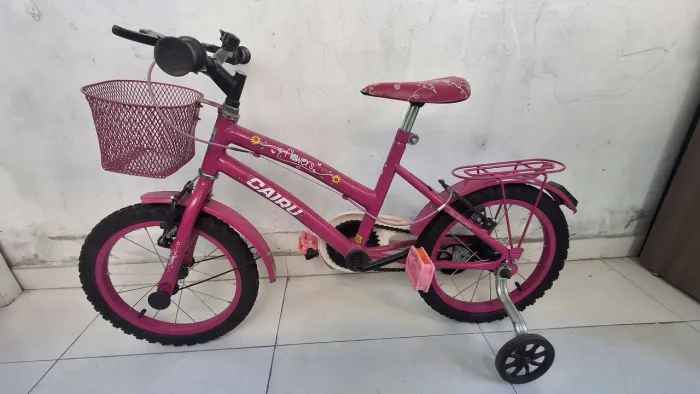 Bicicleta Infantil Aro 16 Cairu Flowers - Rosa Pink