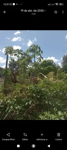 Vendo terreno