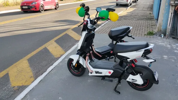 Motoeletrica