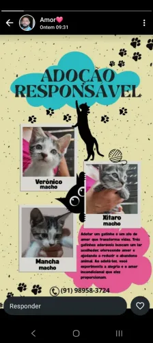 Doa- se amor, carinho e brincadeiras gratuitas! ?