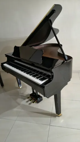 Piano de cauda estilo realista