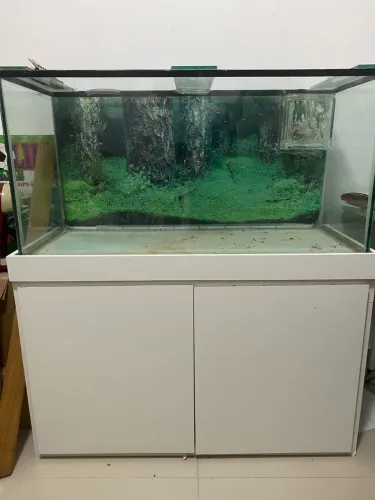 Aquário 200L