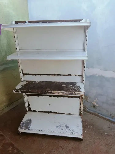 Platileira
