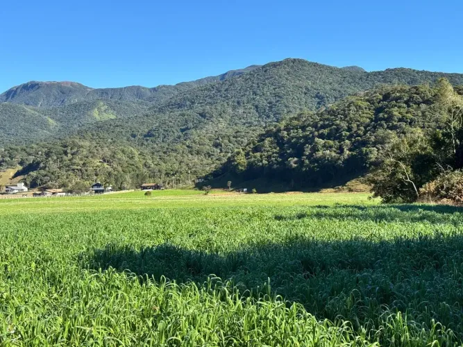 Belo sitio na Vargem do Braço - Santo Amaro da Imperatriz - SC