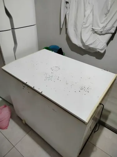 Freezer pra levar hoje
