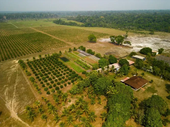 Espetacular Fazenda com 396 hectares no Km 35 da AM-352 Novo Airão. Documento Ok!
