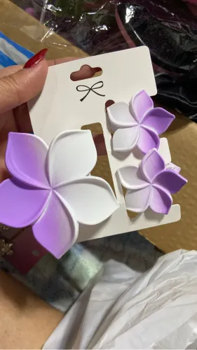 Acessórios feminino Prisilha Escova Broche