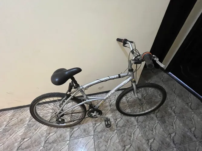 Caloi 100