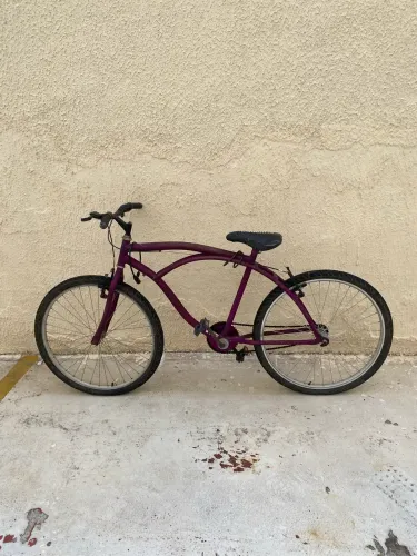 Bicicleta Caiçara