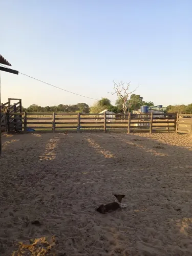 Fazenda de 517 hec. na região entre Pirisal e cidade de livramento MT.