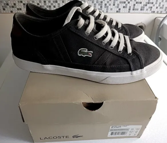 Tênis Lacoste 42 masculino 