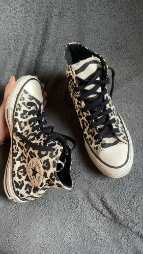 All star novo